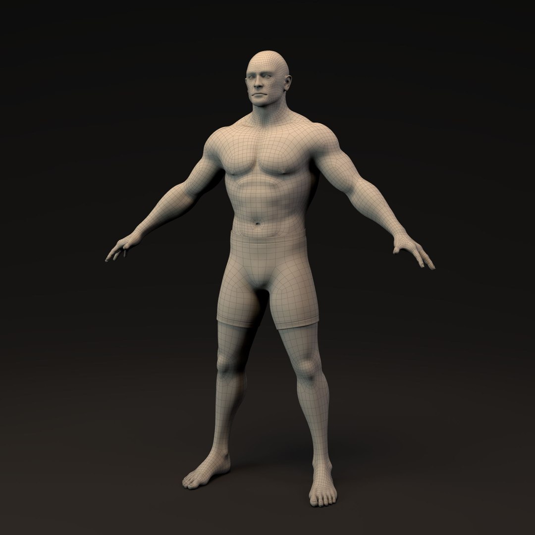 3D Muscular Man and  Woman Basemesh model https://p.turbosquid.com/ts-thumb/3o/JfHeZ6/dO/muscular_man_1_002/jpg/1725205148/1920x1080/fit_q87/2c116b2e7df66f5aaa23beaca69b9e771d6ec496/muscular_man_1_002.jpg