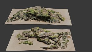 3D Mossy Beach Rocks