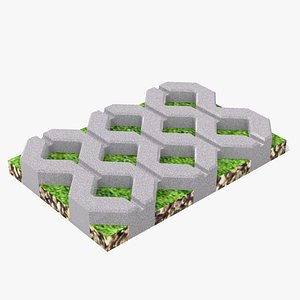 Grass Paver
