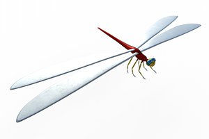 3D dragonfly fly dragon