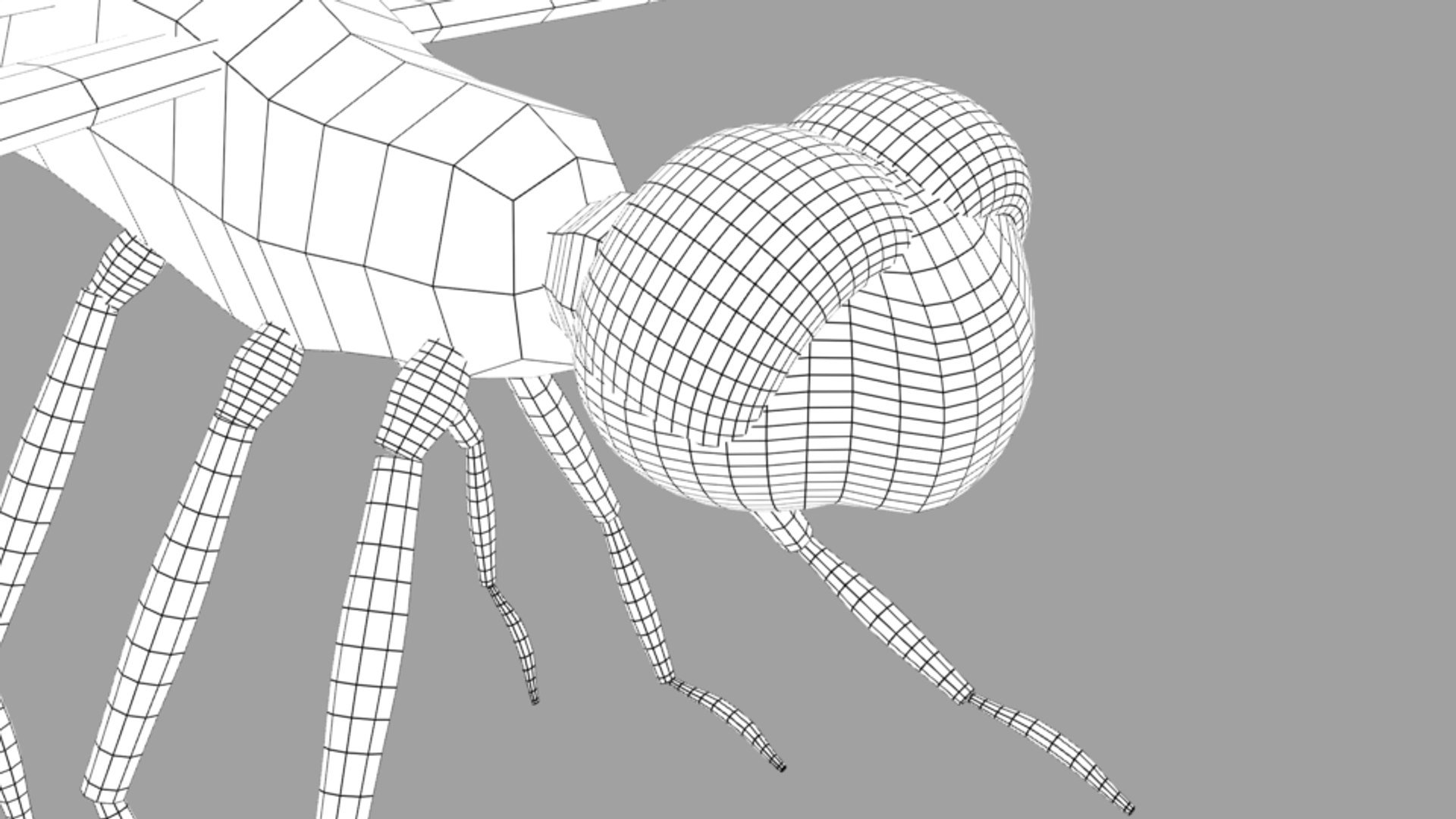 3D dragonfly fly dragon https://p.turbosquid.com/ts-thumb/3o/YtHVhB/a5XqHQu7/dragonfly001wfb/png/1554417621/1920x1080/fit_q87/3bf2b48c30394bac043b1fd5978ddc1c54f8bd05/dragonfly001wfb.jpg