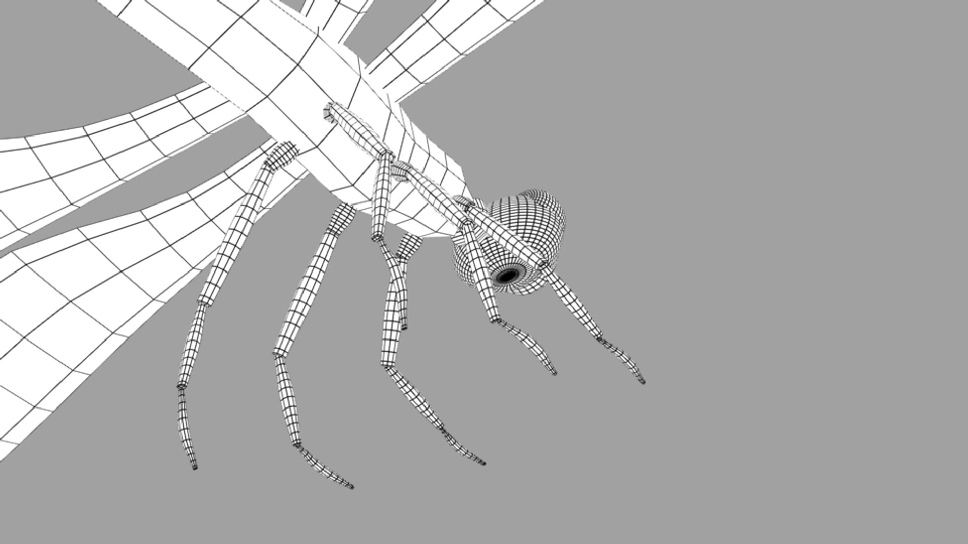 3D dragonfly fly dragon https://p.turbosquid.com/ts-thumb/3o/YtHVhB/pRUBDblh/dragonfly001wfc/png/1554417621/1920x1080/fit_q87/1623777906734993b6886d7674857590323469fa/dragonfly001wfc.jpg