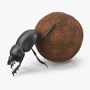 Manure Roller Pushing Sphere 3D model