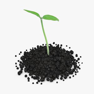 Small Sprout