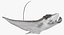 Eagle Ray Pose 2