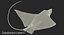 Eagle Ray Pose 2