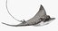 Eagle Ray Pose 2