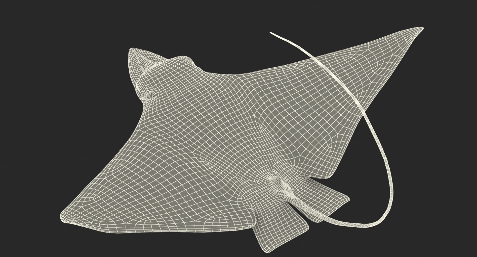 eagle pose 2 3d model https://p.turbosquid.com/ts-thumb/3o/nifdxa/NWhrM6vS/eaglerayvray3dmodel17/jpg/1472731000/1920x1080/fit_q87/66cbc10bc491fadb73be256c8f6eb7bffd965fa3/eaglerayvray3dmodel17.jpg