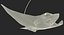 Eagle Ray Pose 2