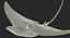 Eagle Ray Pose 2