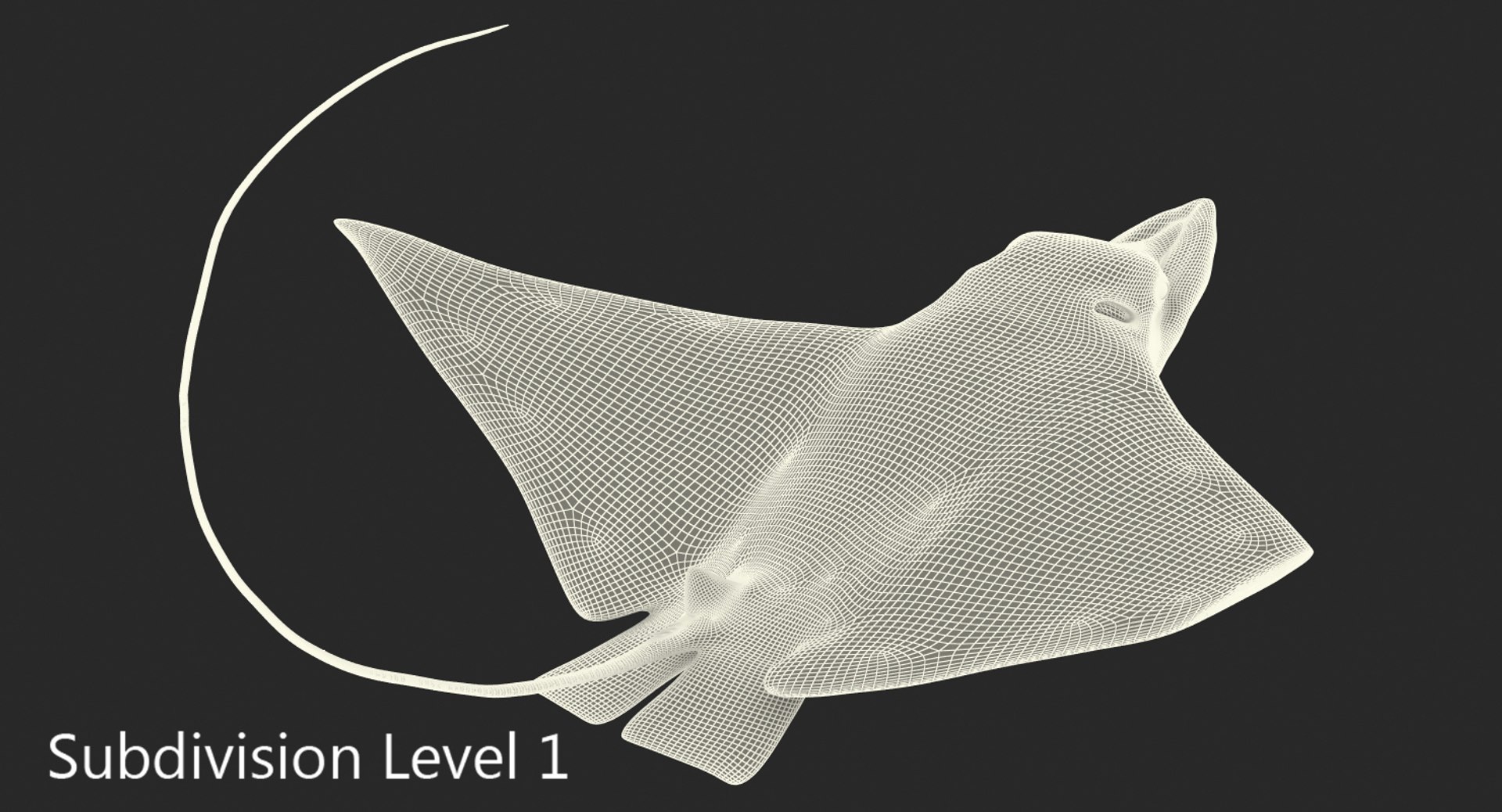 eagle pose 2 3d model https://p.turbosquid.com/ts-thumb/3o/nifdxa/rTzWfwBj/eaglerayvray3dmodel13/jpg/1472731000/1920x1080/fit_q87/072cf671c99a67b236046203ae4ee7211344077e/eaglerayvray3dmodel13.jpg