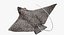 Eagle Ray Pose 2