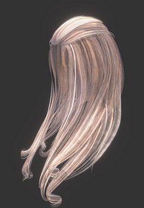 3D female hairstyle hair