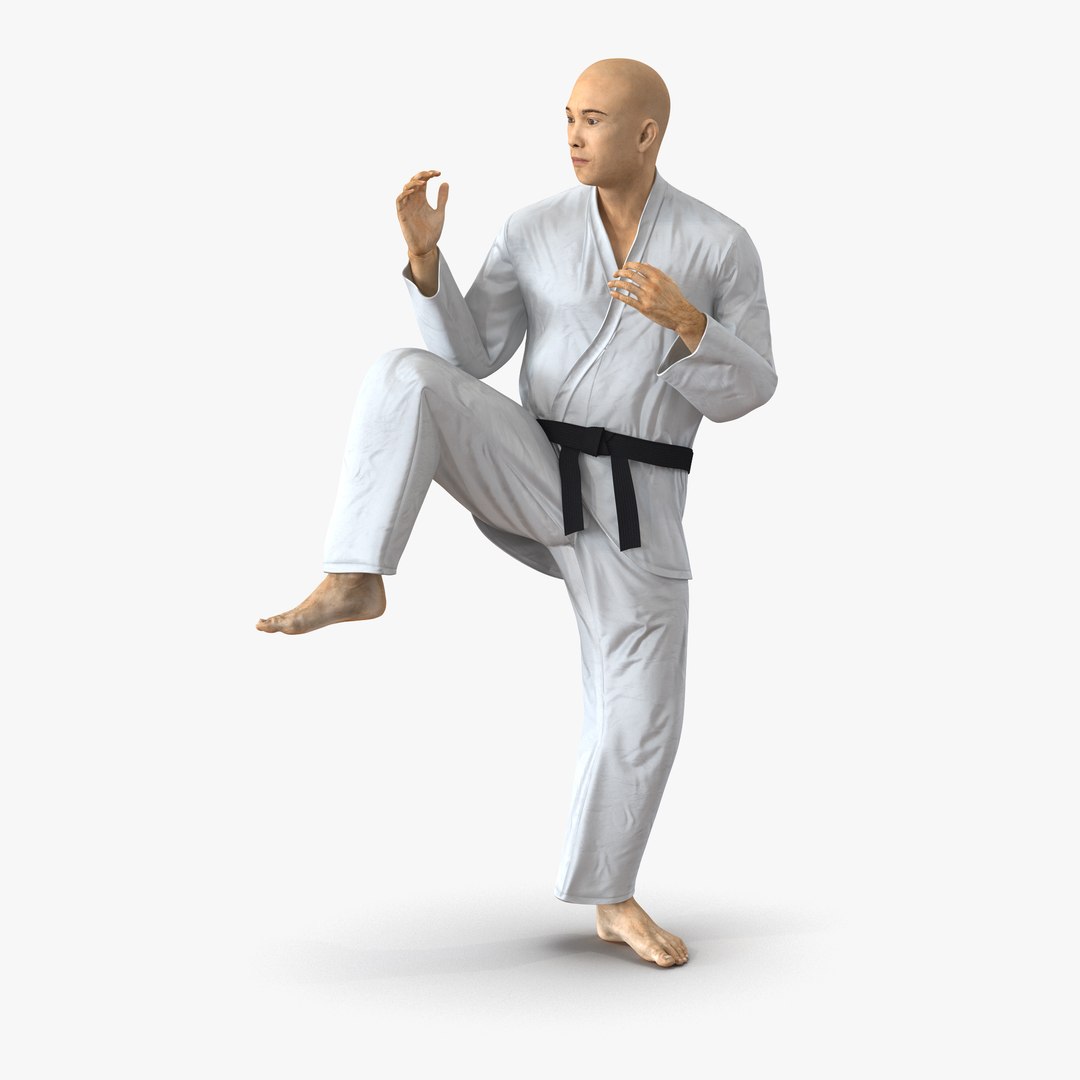 Japanese Karate Fighter Pose 3 3D Model 3D model preview
