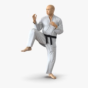 Japanese Karate Fighter Pose 3 3D Model