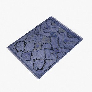 Hand Knotted Area Rug