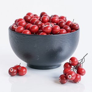 3ds cranberries bowl corona