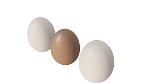 eggs 3D model