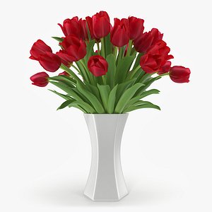 3d tulip vase