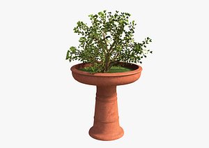 Asian plant pot