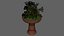 Asian plant pot 3D