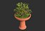 Asian plant pot 3D