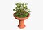 Asian plant pot 3D