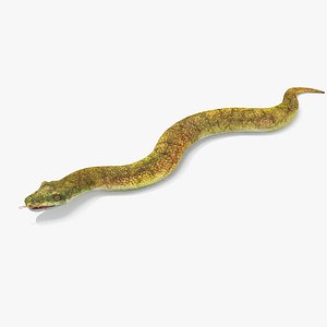 Adder