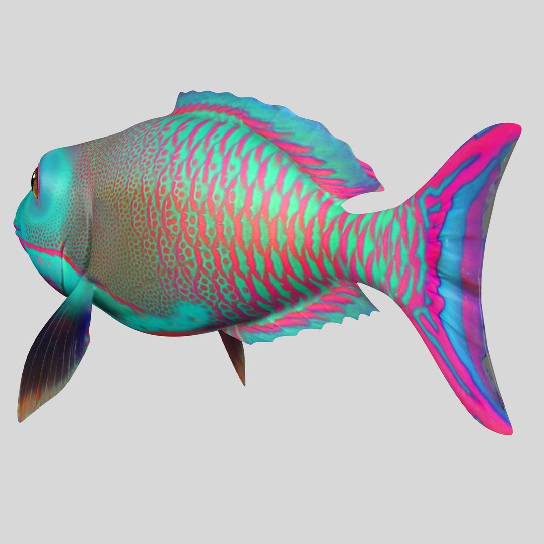 rigged 3d model https://p.turbosquid.com/ts-thumb/3p/ZVLnfm/FUgrQ9dz/angle_03/jpg/1484234671/1920x1080/fit_q87/877249f554d6c9f4566a74a65a8a18d106ef6e4f/angle_03.jpg
