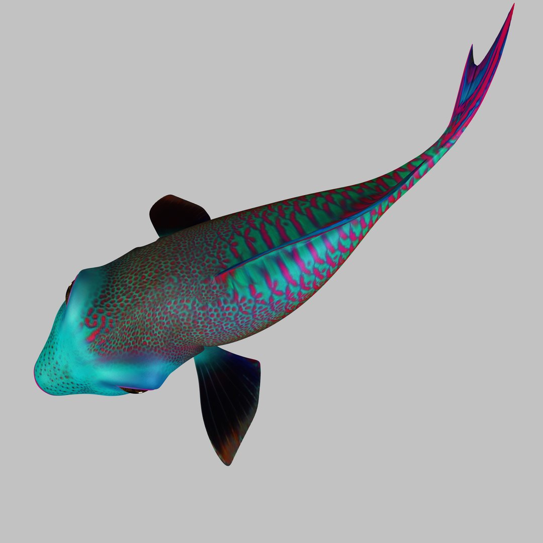 rigged 3d model https://p.turbosquid.com/ts-thumb/3p/ZVLnfm/X4BK22AI/angle_06/jpg/1484234671/1920x1080/fit_q87/4aea31a57146b21c31dc53288cab5a1daf8f5cb0/angle_06.jpg