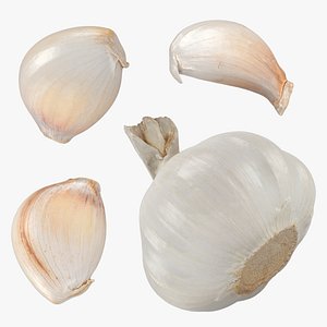 Garlic Collection 1 3D