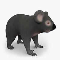 Cartoon Koala Bear