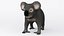 3D cartoon koala bear