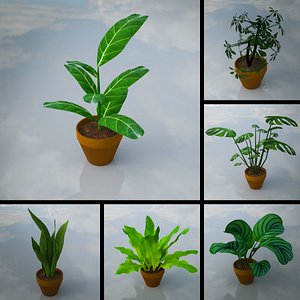 Indoor Plants Lowpoly Pack