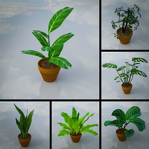 Indoor Plants Lowpoly Pack