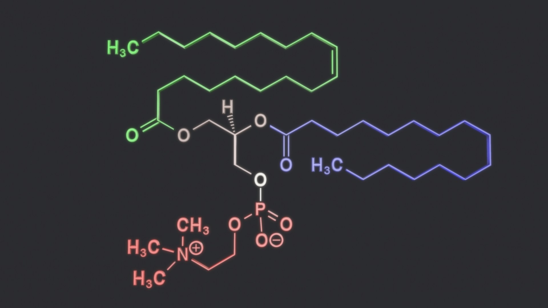 3D Lecithin Structural Model TurboSquid 1238357
