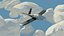 Low poly Private Plane