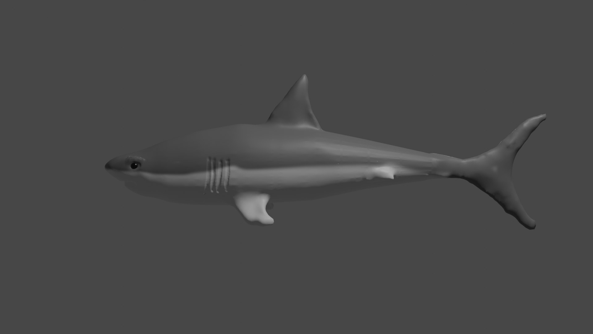 3D shark blender animation model https://p.turbosquid.com/ts-thumb/3p/wnJsia/6Ldox03q/03/png/1583204960/1920x1080/fit_q87/7220c29dc1412823aa2c303e5354ddade9eb990c/03.jpg