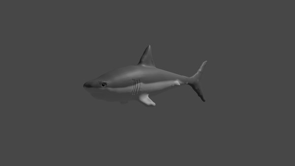 3D shark blender animation model - TurboSquid 1517695