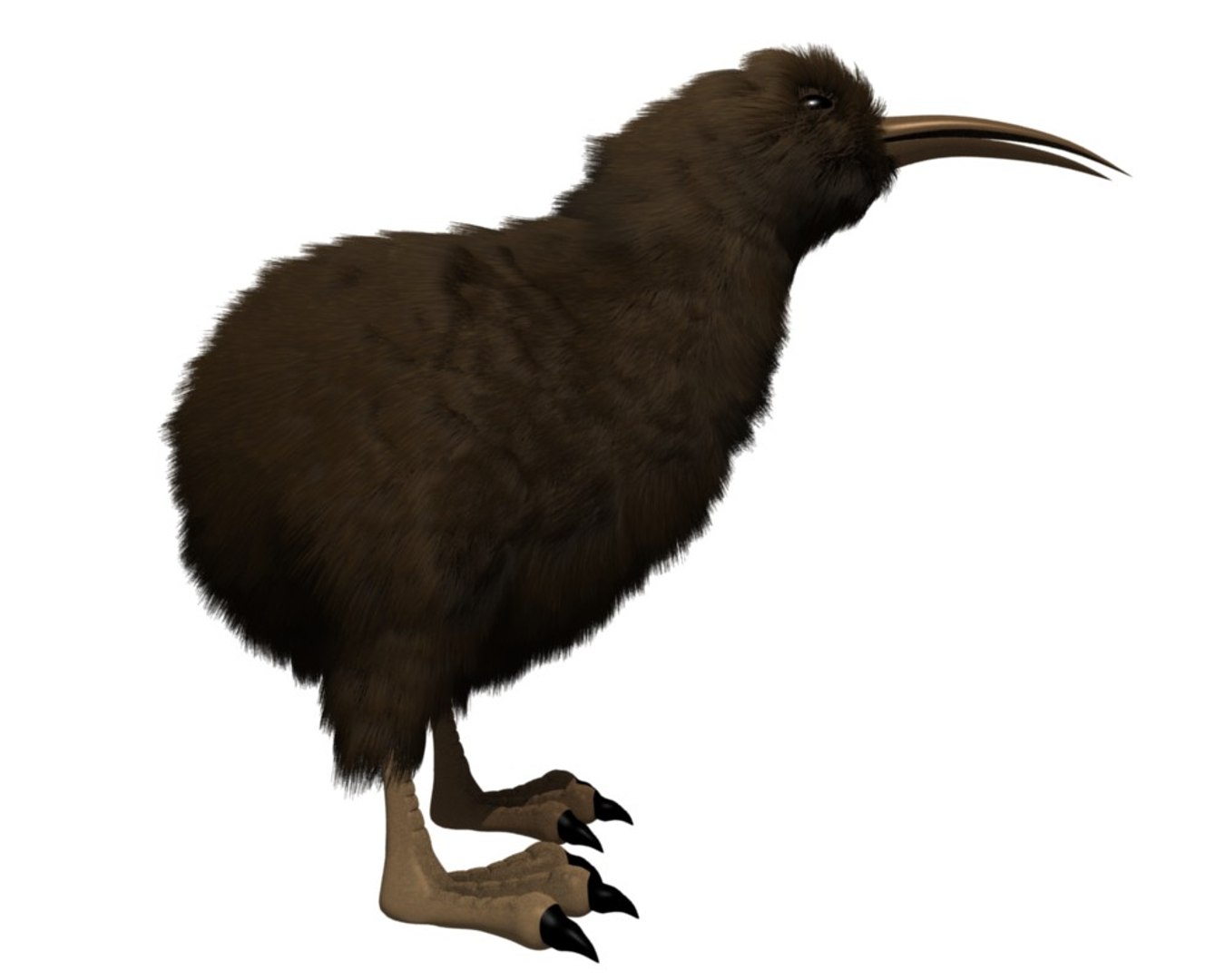 kiwi bird 3ds https://p.turbosquid.com/ts-thumb/3q/29Zqni/0PTxA0kU/fur_side1/jpg/1307685477/1920x1080/fit_q87/ecbf8a39686cea51567430d031223ea993ad1cc9/fur_side1.jpg
