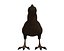 Kiwi Bird