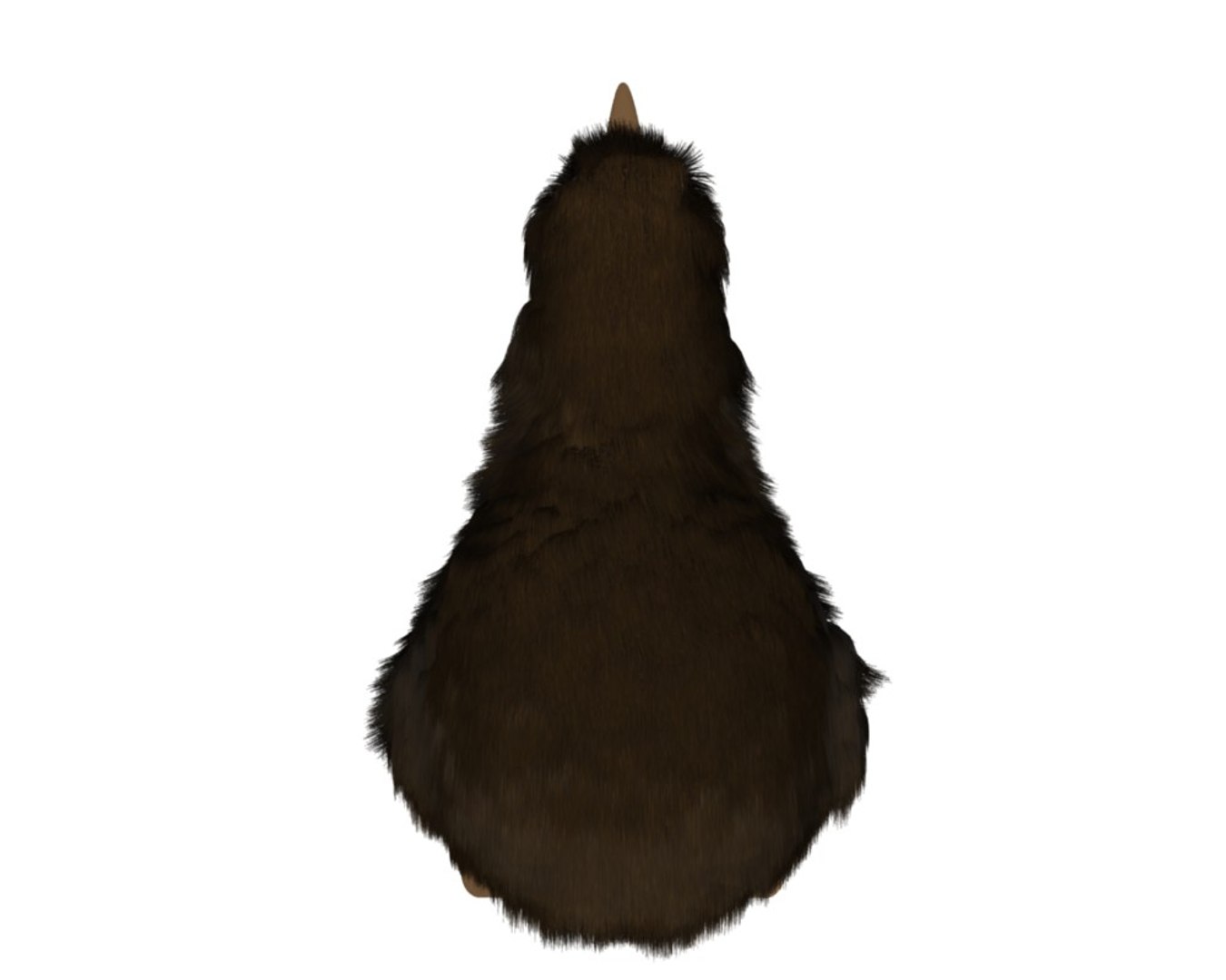 kiwi bird 3ds https://p.turbosquid.com/ts-thumb/3q/29Zqni/WTzwFwk2/fur_top/jpg/1307685477/1920x1080/fit_q87/15e1201993d8657ba41f79e0e1b2595c1f7bd0c4/fur_top.jpg