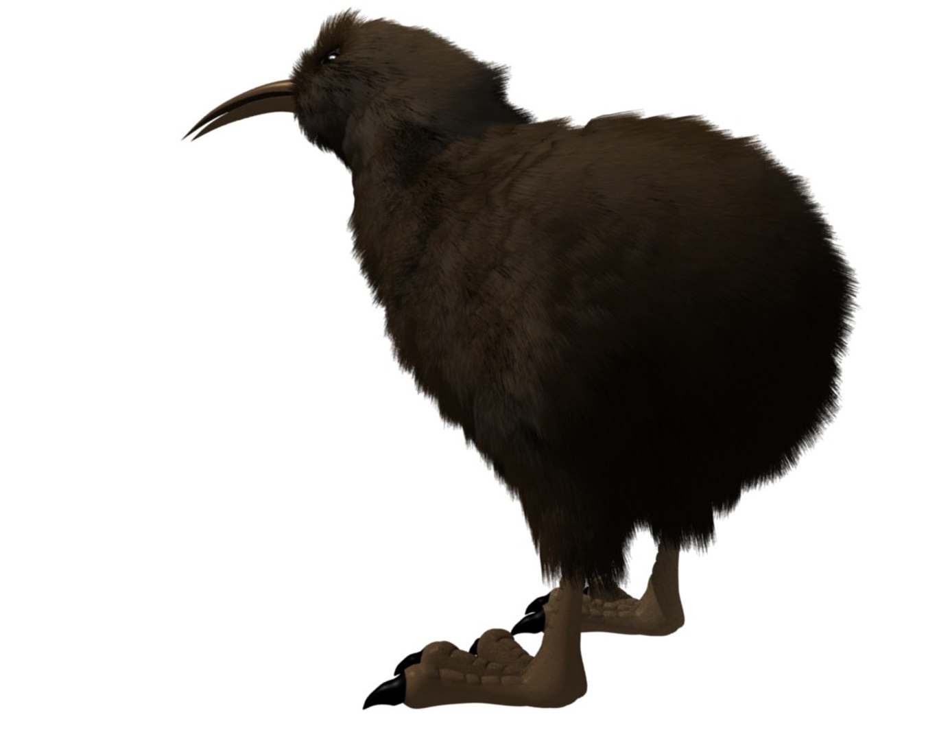 kiwi bird 3ds https://p.turbosquid.com/ts-thumb/3q/29Zqni/ZNzgOsrs/fur_sideback1/jpg/1307685477/1920x1080/fit_q87/4748b4110425796b01525b2e10360c21242f8453/fur_sideback1.jpg