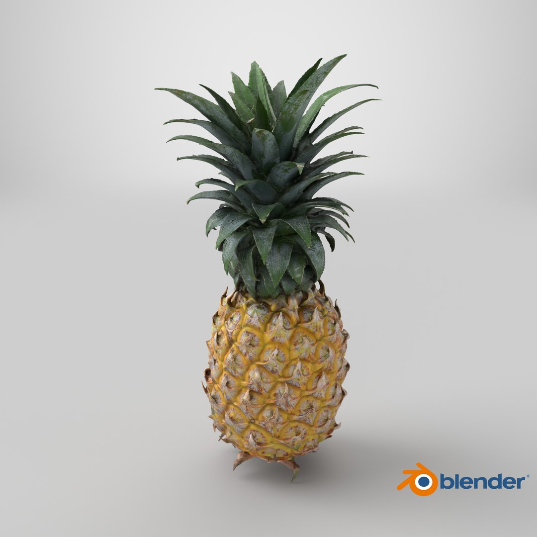 Pineapple model https://p.turbosquid.com/ts-thumb/3q/6JYliP/9X/stemcell_blender_cycles_render/png/1762232685/1920x1080/fit_q87/628c5bb202822b7bde2cc961bce9909be59c4388/stemcell_blender_cycles_render.jpg