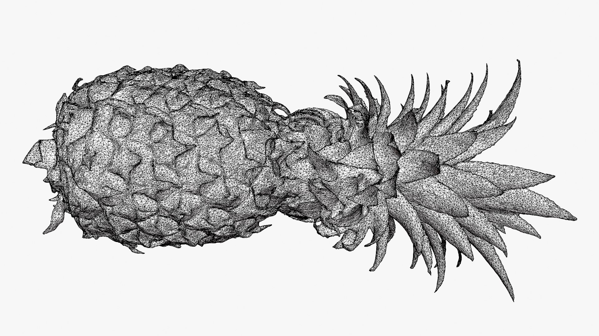 Pineapple model https://p.turbosquid.com/ts-thumb/3q/6JYliP/AI/pineapple_d0008/png/1760768678/1920x1080/fit_q87/1ca503fb5e4301c3203c508bc1dc658d4e79bd28/pineapple_d0008.jpg