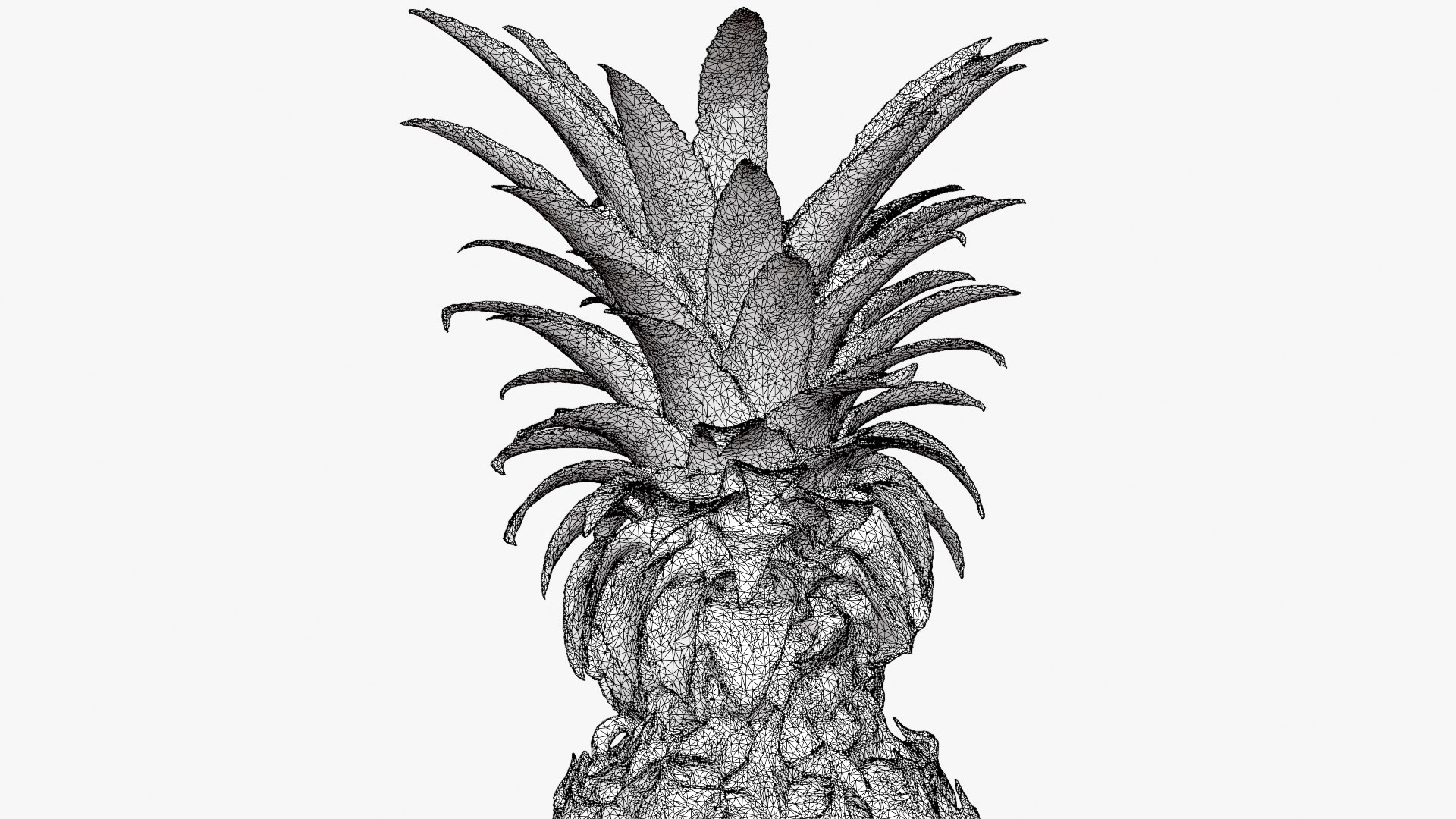 Pineapple model https://p.turbosquid.com/ts-thumb/3q/6JYliP/G3/pineapple_d0007/png/1760768675/1920x1080/fit_q87/5c922491da8926675fa502199c5575b8d1cda360/pineapple_d0007.jpg