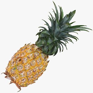 Pineapple model