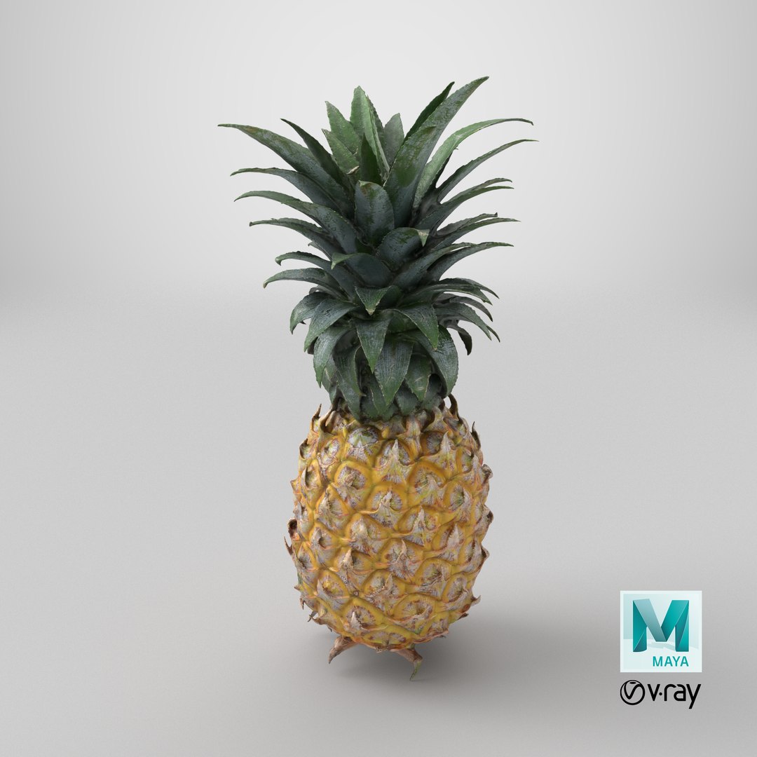 Pineapple model https://p.turbosquid.com/ts-thumb/3q/6JYliP/Vd/stemcell_maya_vray_render/png/1762232689/1920x1080/fit_q87/352443ee1c7af730ded717f868db70eb6f2fd98d/stemcell_maya_vray_render.jpg