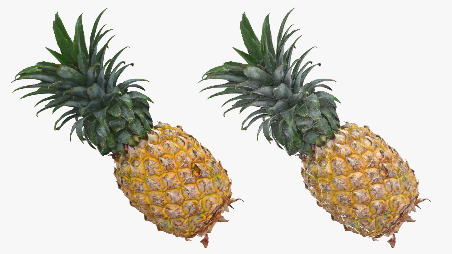 Pineapple model https://p.turbosquid.com/ts-thumb/3q/6JYliP/jE/pineapple_0001b/png/1760768636/1920x1080/fit_q87/2ff23fd1c2bb778a9b9c10cf914cd1c4b5398a1c/pineapple_0001b.jpg