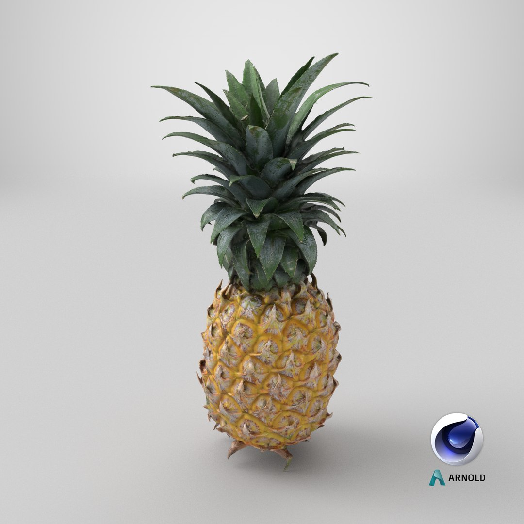 Pineapple model https://p.turbosquid.com/ts-thumb/3q/6JYliP/n3/stemcell_cinema_4d_arnold_render/png/1762232691/1920x1080/fit_q87/95519eba6d7330d531825c0e50afadcd6f2949bf/stemcell_cinema_4d_arnold_render.jpg